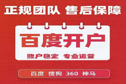 SEM竞价实战：成功案例解析